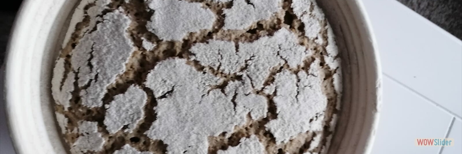 Brot 04