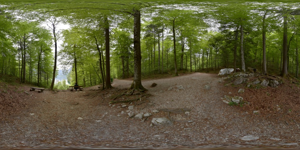 Wald 2_thumb