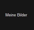 Meine Bilder 