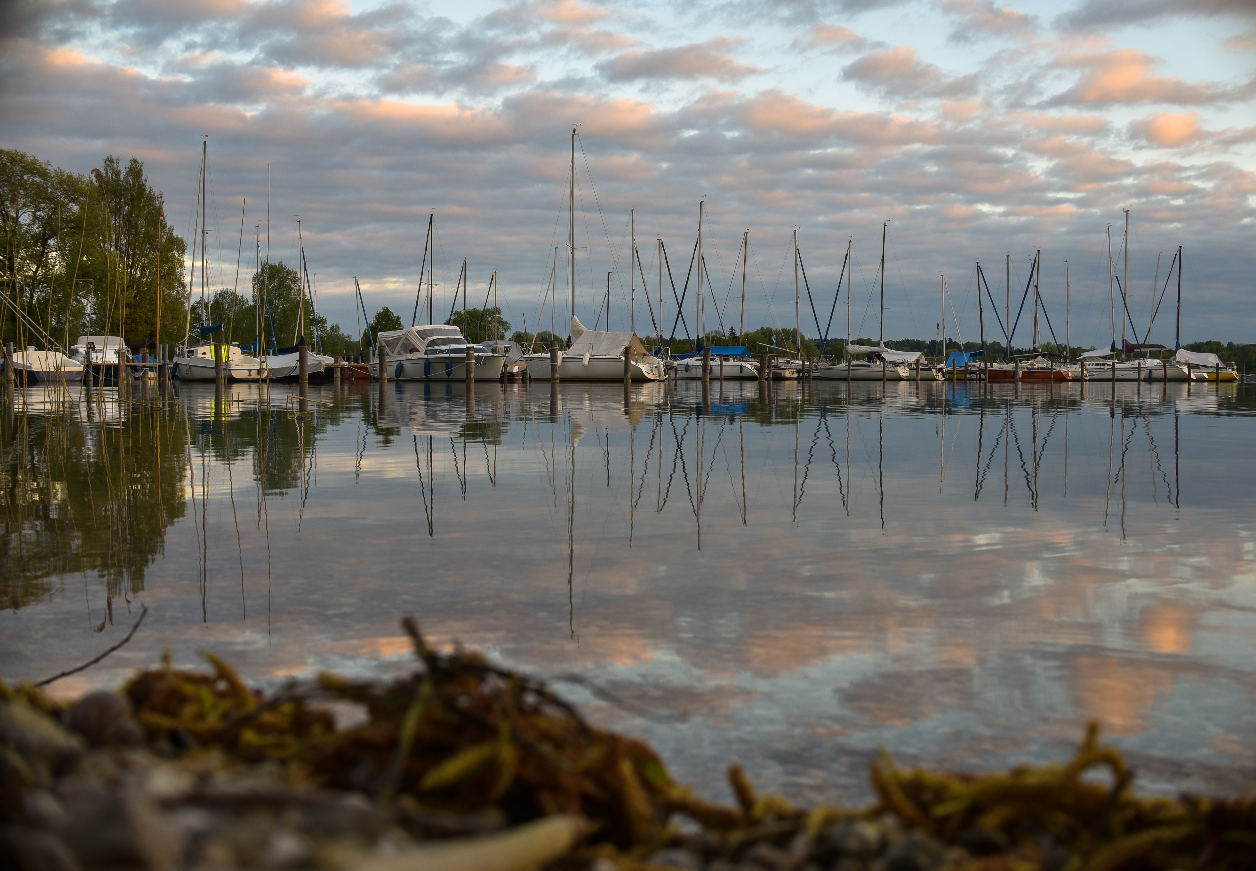 DSC_6298_